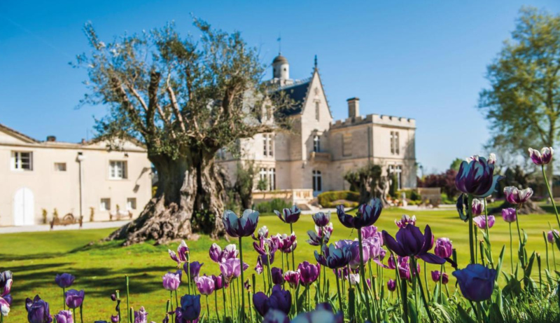 Venir passer un séjour en chambre ou suite de luxe au château pape clément dans le pessac-léognan Pessac Château Pape Clément